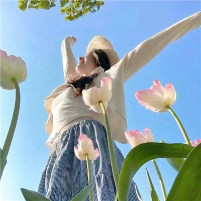 蓝色矢车菊