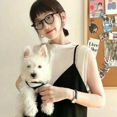 刺猬与城市
