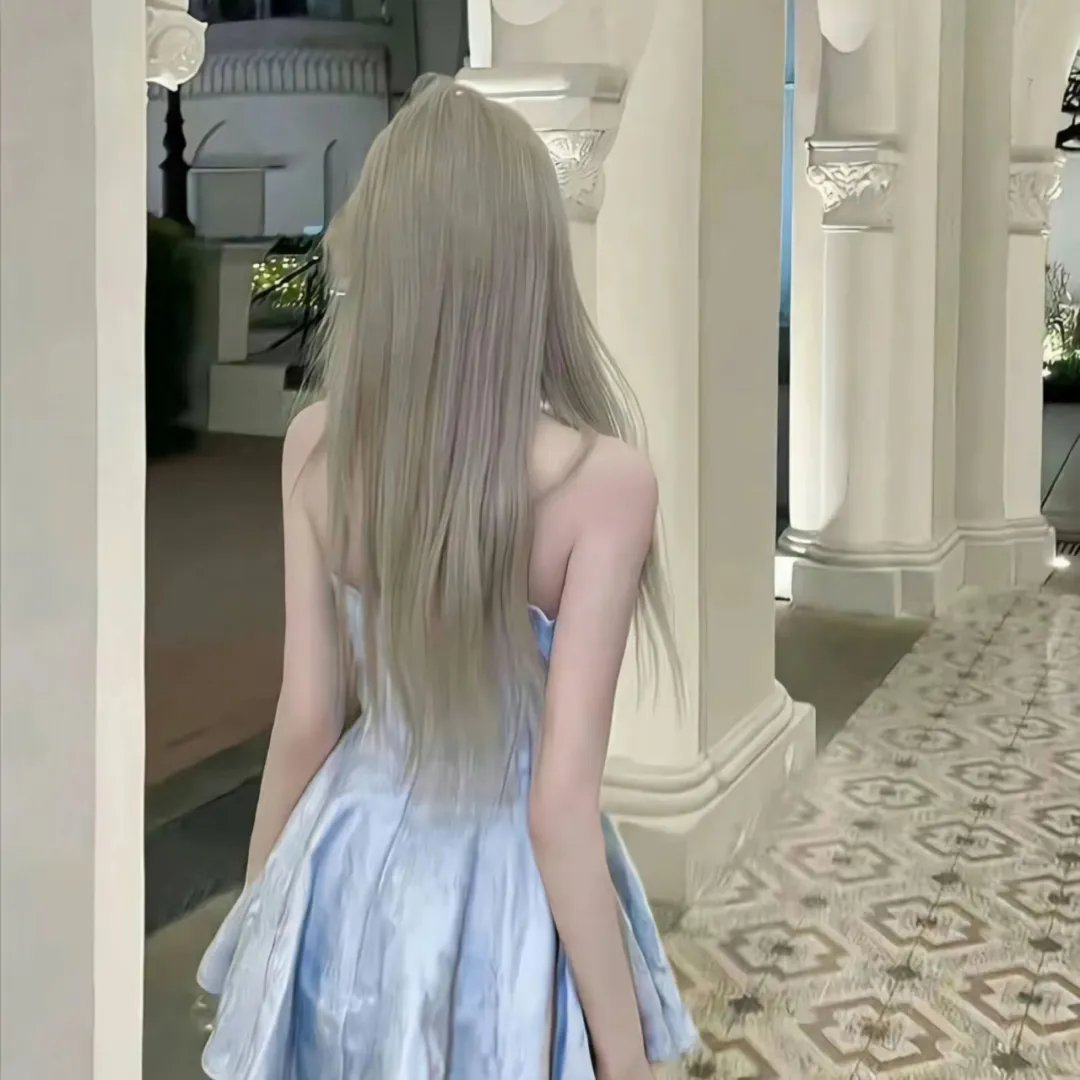 房子与狗